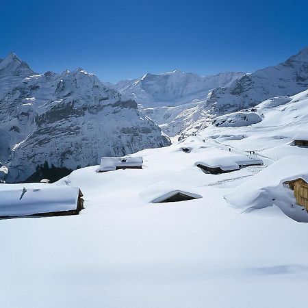 Apartment Chalet Jrene By Interhome Grindelwald Kültér fotó