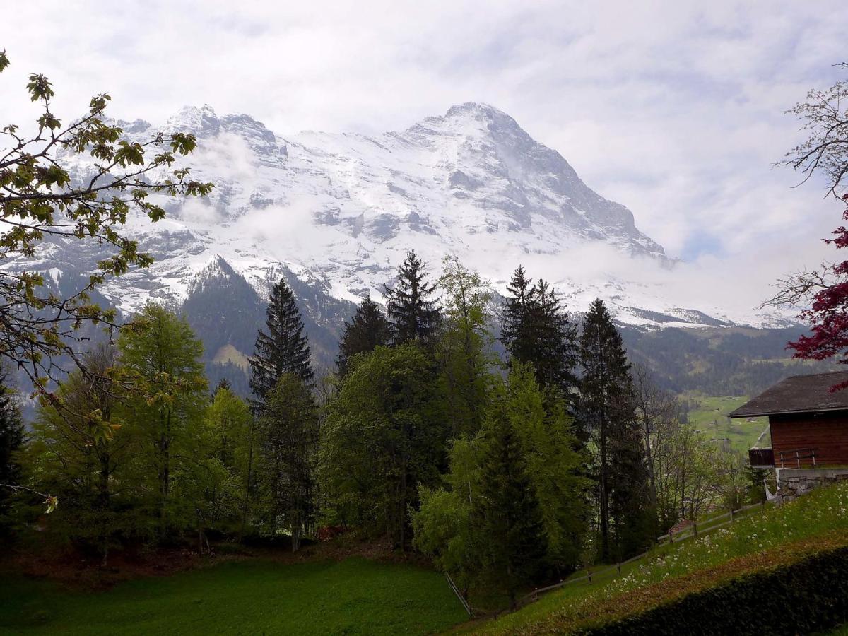 Apartment Chalet Jrene By Interhome Grindelwald Kültér fotó