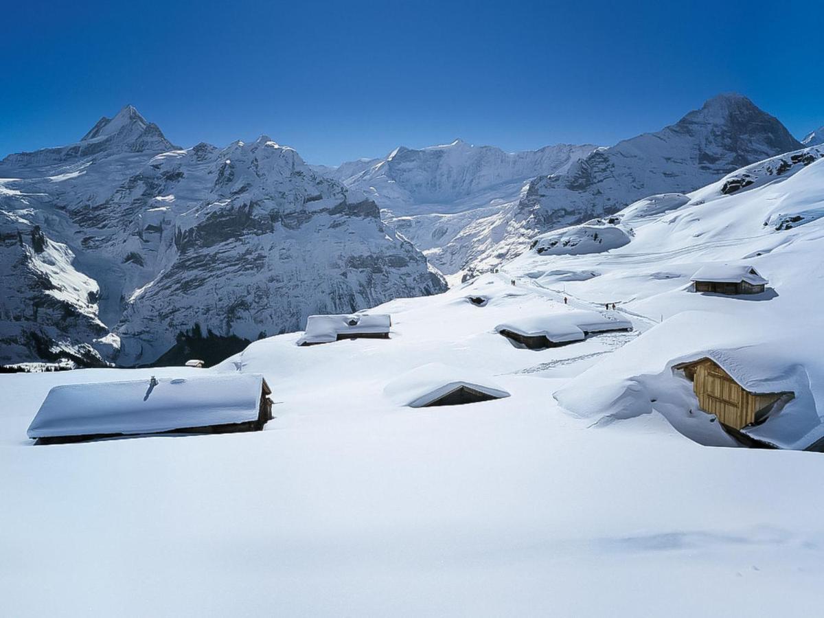 Apartment Chalet Jrene By Interhome Grindelwald Kültér fotó